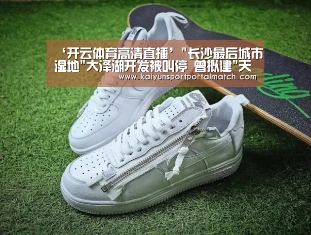 ‘开云体育高清直播’长沙最后城市湿地大泽湖开发被叫停 曾拟建天空城市(图2) 开云官网首页