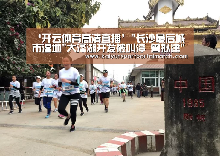 ‘开云体育高清直播’长沙最后城市湿地大泽湖开发被叫停 曾拟建天空城市(图1) KAIYUN SPORTS