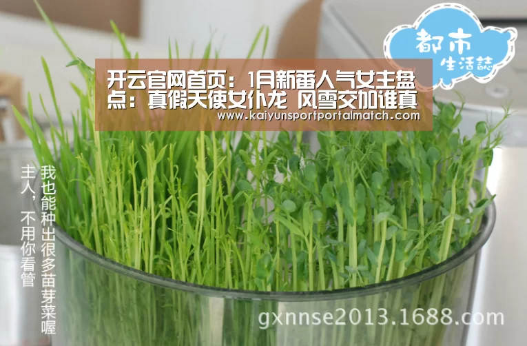 开云官网首页:1月新番人气女主盘点:真假天使女仆龙 风雪交加谁真爱(图3) KAIYUN SPORTS