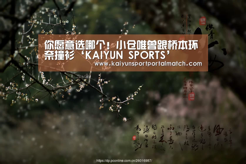你愿意选哪个!小仓唯曾跟桥本环奈撞衫‘KAIYUN SPORTS’(图2) 开云体育高清直播