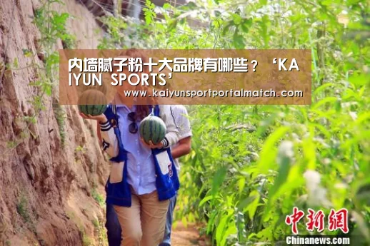 内墙腻子粉十大品牌有哪些?‘KAIYUN SPORTS’(图2) 开云官网首页