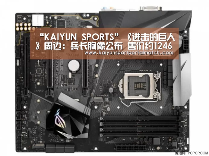 开云体育官方入口