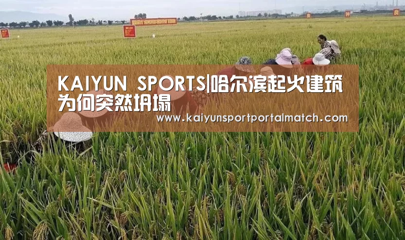 开云官网首页